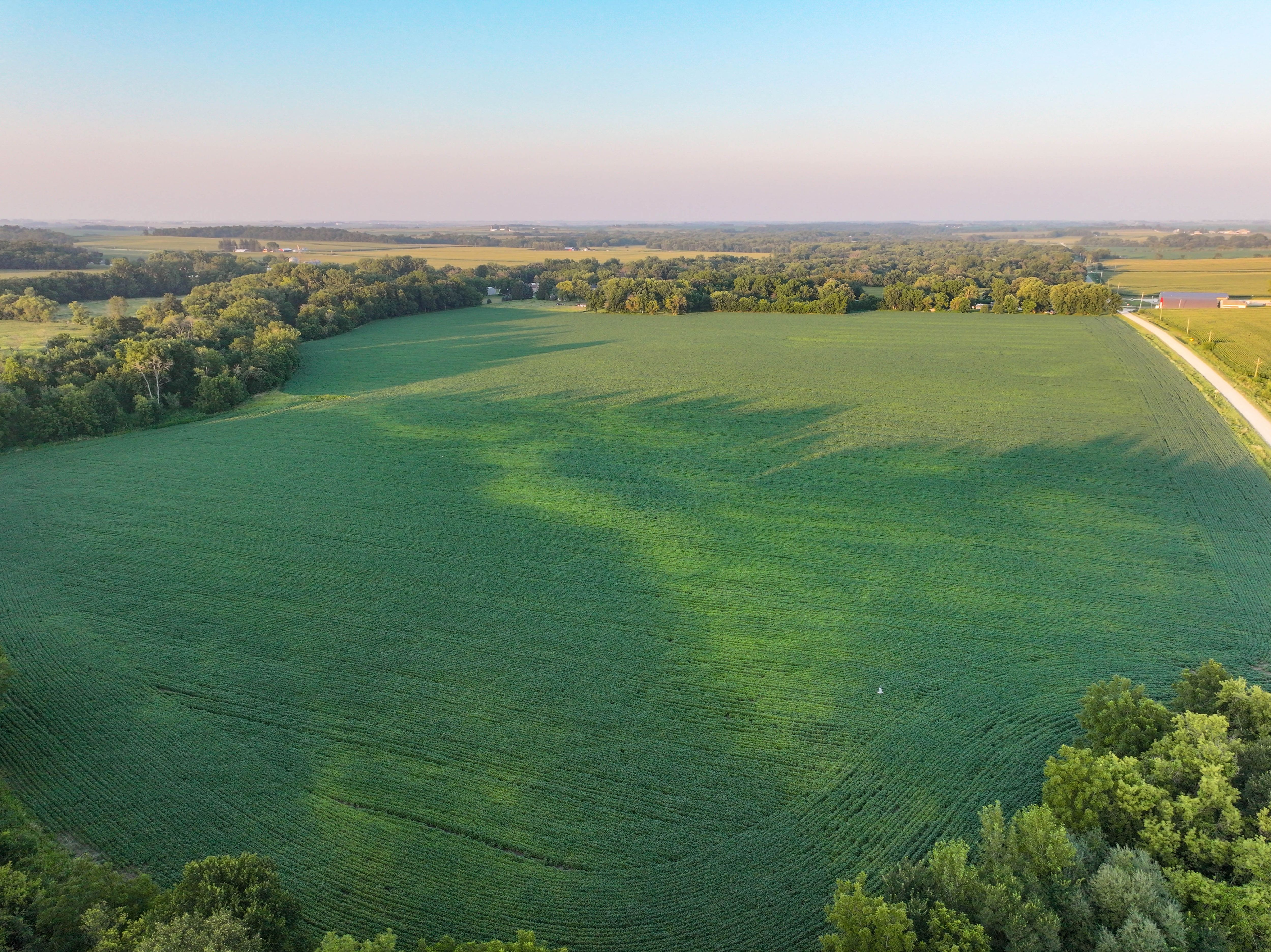 Listing Photo: 9_Fayette County IA Farmland